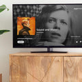 Amazon Fire TV Stick Lite Streaming Media Player by DailySale