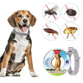 Flea Collar Dogs 8-month Flea and Tick Prevention for Dogs 3 Months of Age and Older by DailySale