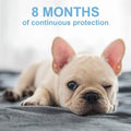 Flea Collar Dogs 8-month Flea and Tick Prevention for Dogs 3 Months of Age and Older by DailySale