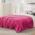 Fleece Throw Blanket Flannel Bed Cover by DailySale