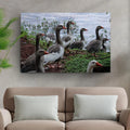 Flock Of Domestic Geese Canvas Wall Art by Tailored Canvases