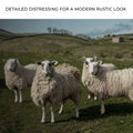 Flock Of Sheep Canvas Wall Art by Tailored Canvases