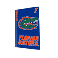 Florida Gators PS5 VarsityWrapz by Varsity Gripz