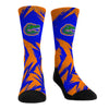 Florida Gators - Game Paint