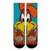 Foghorn Leghorn - Split Face