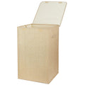 Foldable Laundry Hampers with Lid by DailySale