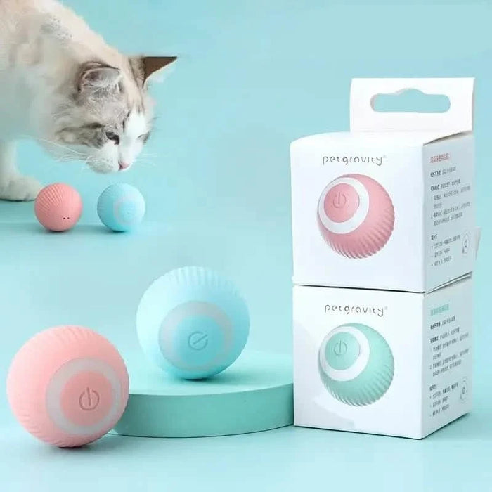 Found Notice Smart Interactive Cat Toy by DailySale