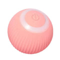 Found Notice Smart Interactive Cat Toy by DailySale