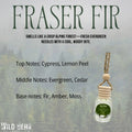 Fraser Fir Car Freshener by Wild Bear Market