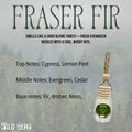 Fraser Fir Car Freshener by Wild Bear Market