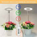 Full Spectrum LED Halo Plant Light With Stand Height Adjustable Auto Timer by DailySale