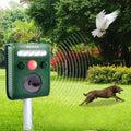 Garden Ultrasonic PIR Sensor Solar Animal Dispeller by DailySale