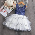 Girls' Ruffle Mesh Embroidered Dress by DailySale