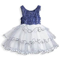 Girls' Ruffle Mesh Embroidered Dress by DailySale