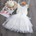 Girls' Ruffle Mesh Embroidered Dress by DailySale