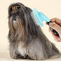 Glendan Dog Brush & Cat Brush - Slicker Pet Grooming Brush by DailySale