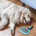 Glendan Dog Brush & Cat Brush - Slicker Pet Grooming Brush by DailySale