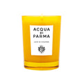 Acqua di Parma Luce Di Colonia Candle 200 G by Nava Beauty