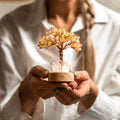 Golden Lamp of Wealth - Citrine Tree by Conscious Items