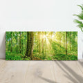 Golden Rays Into The Forest Canvas Wall Art by Tailored Canvases
