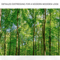 Golden Rays Into The Forest Canvas Wall Art by Tailored Canvases
