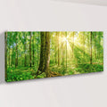 Golden Rays Into The Forest Canvas Wall Art by Tailored Canvases