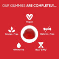 Goli Apple Cider Vinegar Gummy Vitamins by Goli Nutrition by DailySale