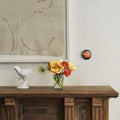 Google Nest Learning Smart Thermostat by DailySale