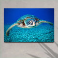 Green Sea Turtle Canvas Wall Art by Tailored Canvases