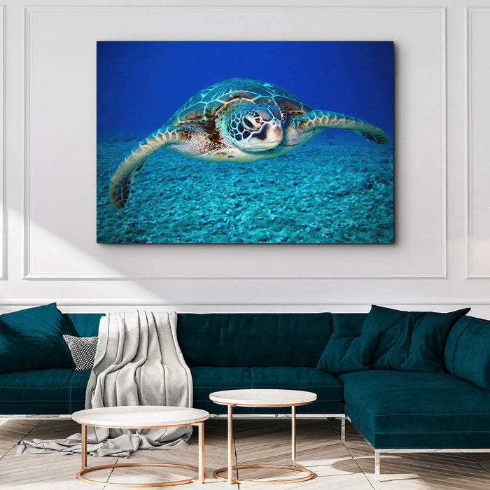 Green Sea Turtle Canvas Wall Art by Tailored Canvases