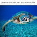 Green Sea Turtle Canvas Wall Art by Tailored Canvases