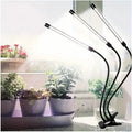 Grow Lights for Seed Starting Auto ON & Off Full Spectrum LED Plant Lights with Timer by DailySale