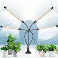 Grow Lights for Seed Starting Auto ON & Off Full Spectrum LED Plant Lights with Timer by DailySale
