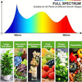 Grow Lights for Seed Starting Auto ON & Off Full Spectrum LED Plant Lights with Timer by DailySale