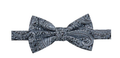 Ryan Seacrest Distinction Mens Zinnia Paisley Bow Tie by Vanessa Jane