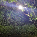 Hakol Outdoor Solar Powered LED Rechargeable Mosquito Zapper Lantern by DailySale