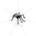 Halloween Decorations Spider Outdoor Stretch Cobweb by DailySale