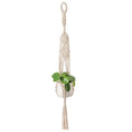Hand Woven Macrame Tapestry Plant Hanger Holder by DailySale
