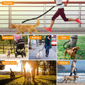 Hands Free Dogs Leash Waist Belt by DailySale