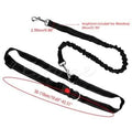 Hands Free Running Bungee Dog Leash - Assorted Colors by DailySale
