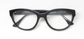 Harry Lary's Agitaty Eyeglasses by ModaFrames
