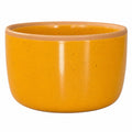 Solid Dish Soap Jar & Brush by Wild Bear Market