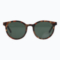 Havana Haze by Jaxy Eyewear