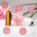 Healing Butterfly – Crystal Car Kit of Safety by Conscious Items