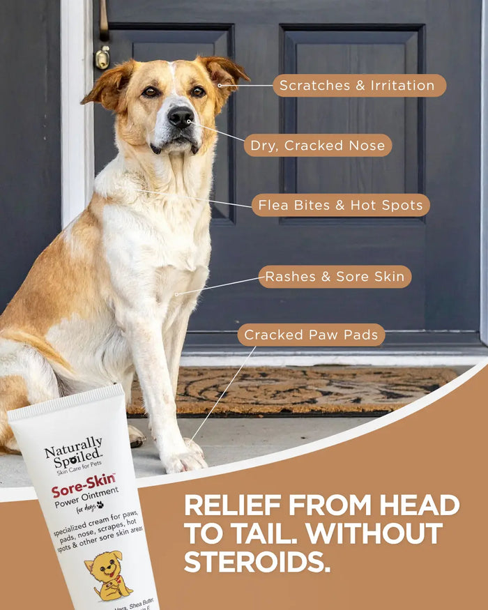 Healing Cream for Dogs with Dry, Irritated & Itchy Skin | Fast-Absorbing Pet Skin Relief | 2 oz by TriDerma MD