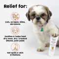 Healing Cream for Dogs with Dry, Irritated & Itchy Skin | Fast-Absorbing Pet Skin Relief | 2 oz by TriDerma MD