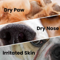 Healing Cream for Dogs with Dry, Irritated & Itchy Skin | Fast-Absorbing Pet Skin Relief | 2 oz by TriDerma MD