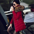 High Quality Winter Down Jacket Women Long Coat Warm Clothes by DailySale