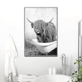 Highland Cattle Bath Canvas Wall Art by Tailored Canvases