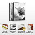 Highland Cattle Bath Canvas Wall Art by Tailored Canvases